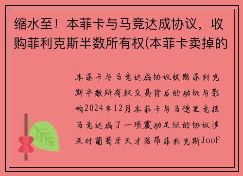 缩水至！本菲卡与马竞达成协议，收购菲利克斯半数所有权(本菲卡卖掉的球星)