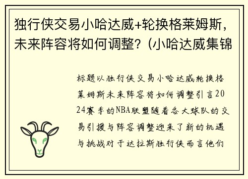 独行侠交易小哈达威+轮换格莱姆斯，未来阵容将如何调整？(小哈达威集锦)